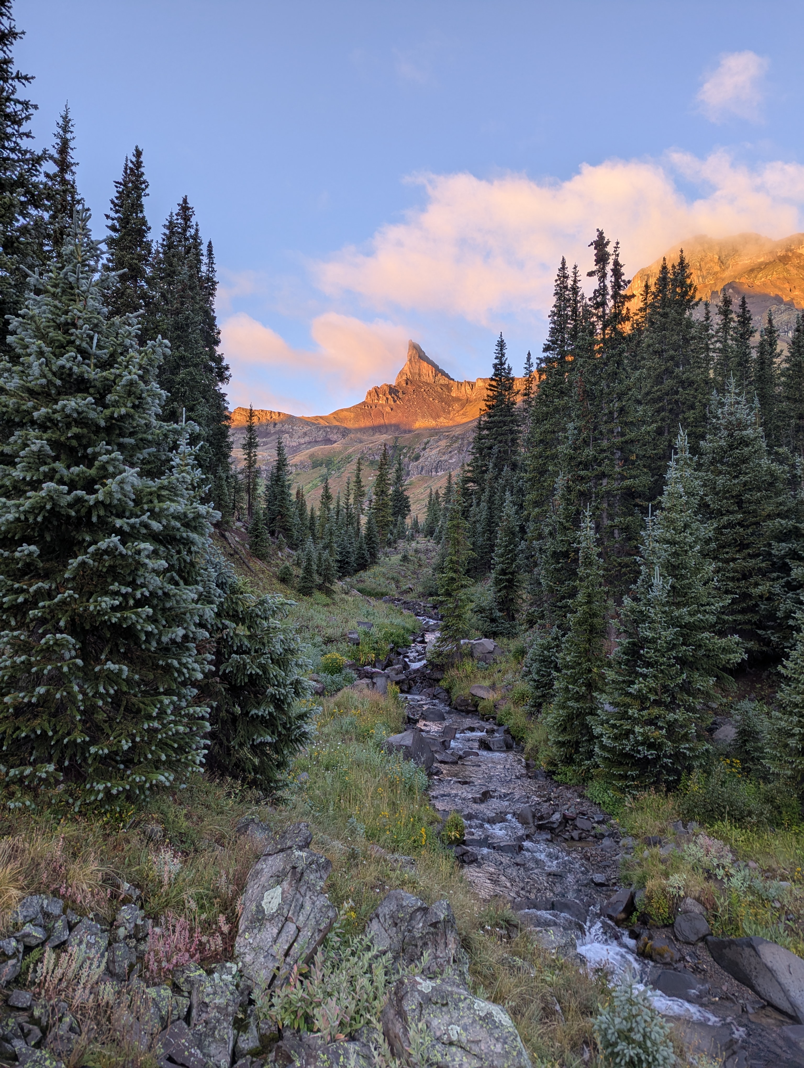 a photo of a stream with a mountain in the background